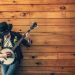 Ritaglia canzoni tutto quel che c'è da sapere